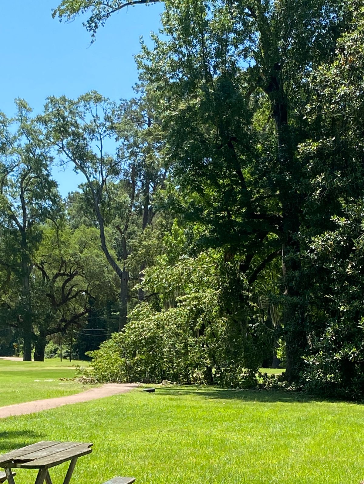 Duncan Park Natchez, MS UDisc Disc Golf Course Directory UDisc