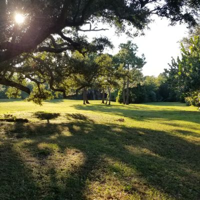 Cypress Point Park - Tampa, FL | UDisc Disc Golf Course Directory