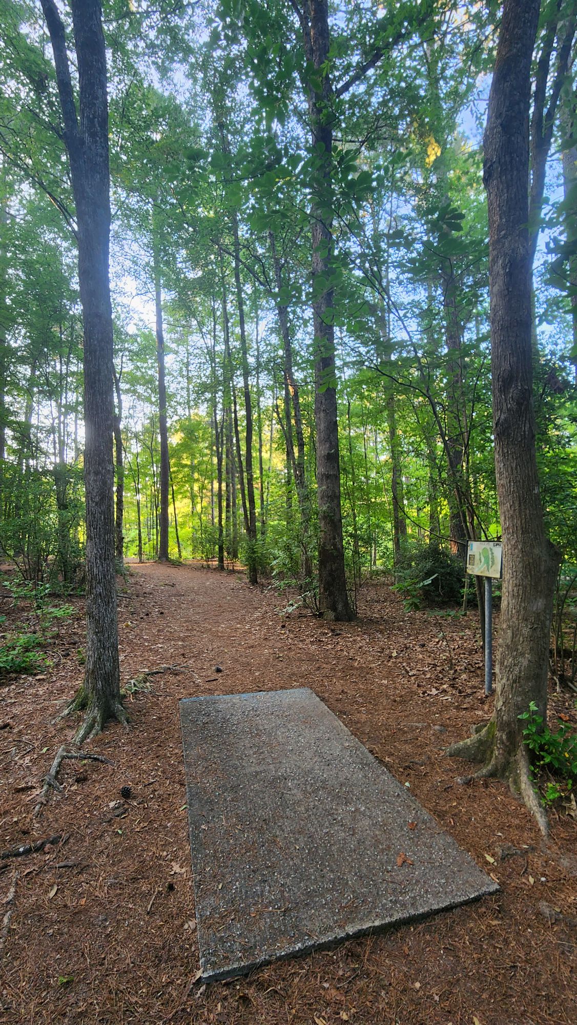 Cornwallis Road Park Durham, NC UDisc Disc Golf Course Directory