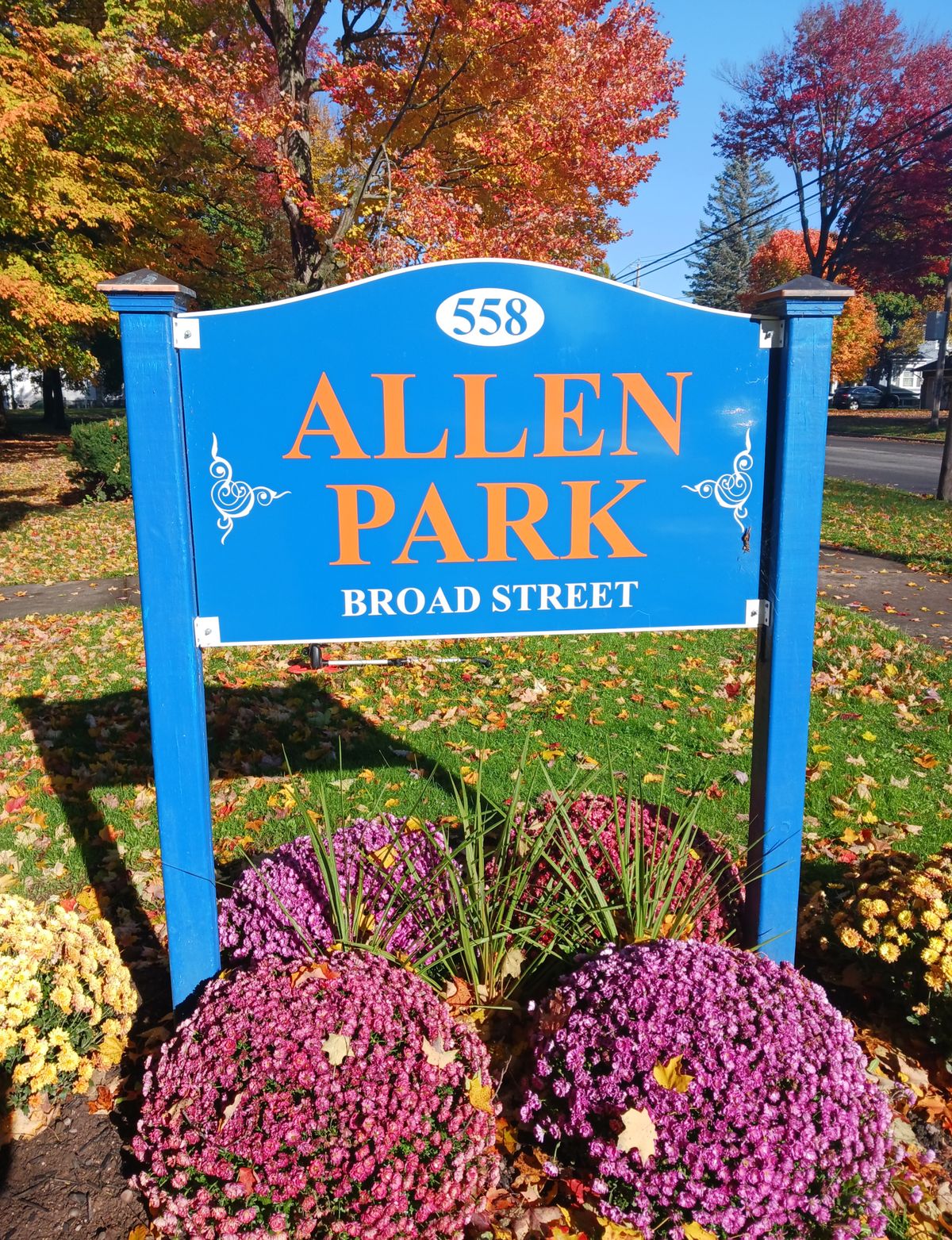 Allen Park Oneida, NY UDisc Disc Golf Course Directory