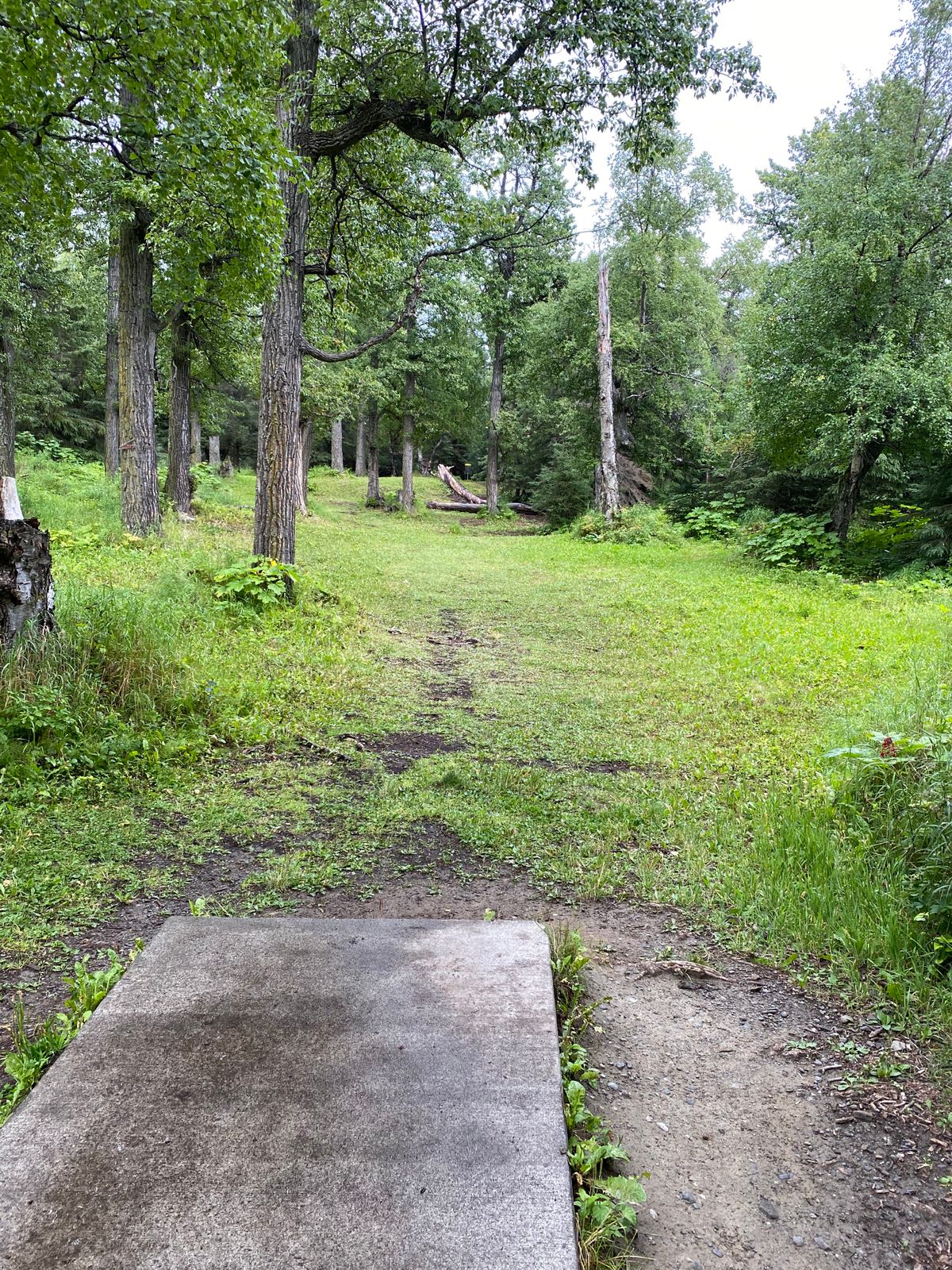 Kincaid Park Anchorage, AK UDisc Disc Golf Course Directory