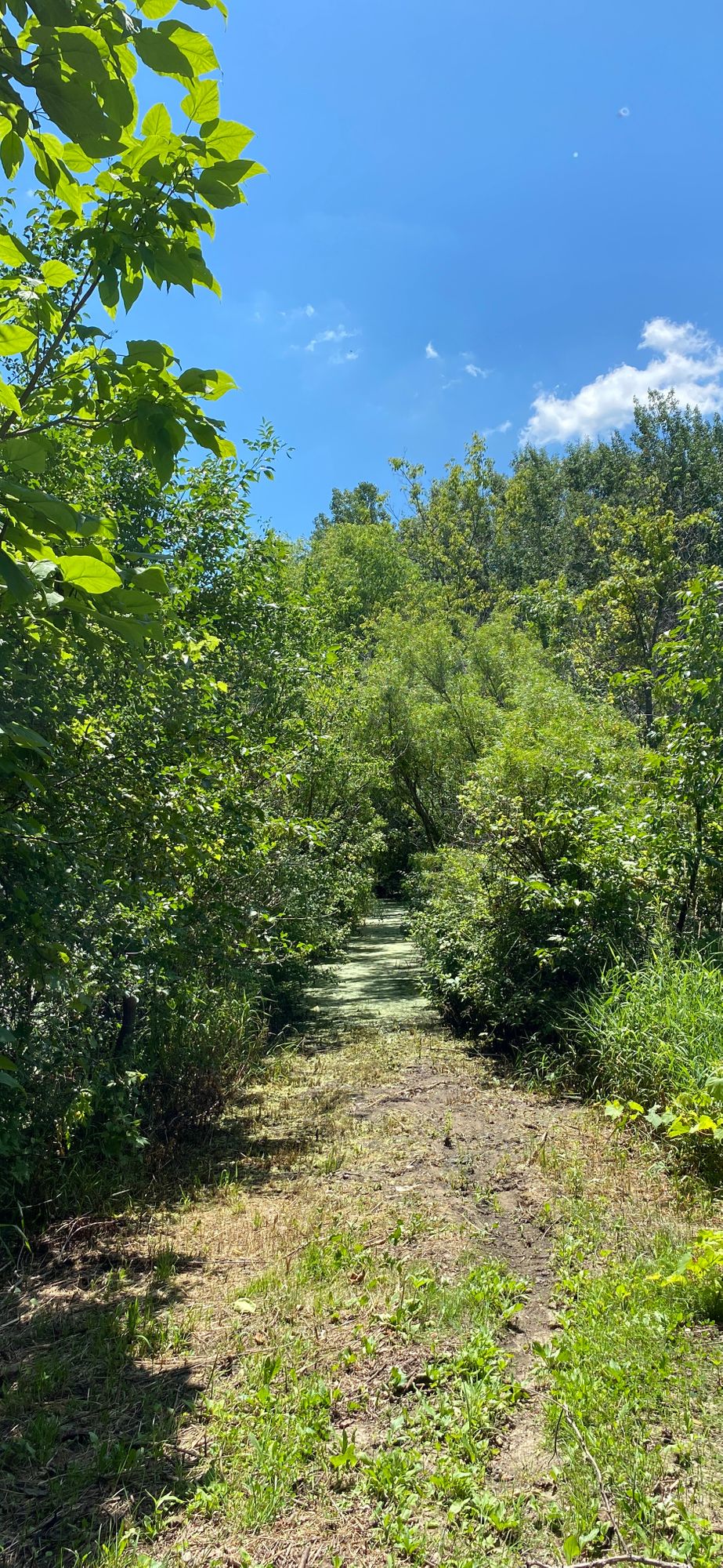 Inver Hills Community College - Inver Grove Heights, MN | UDisc Disc Golf  Course Directory | UDisc