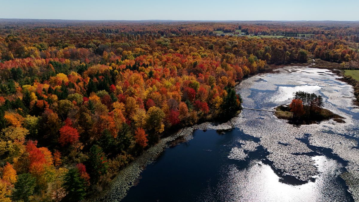 Punderson Disc Golf Course Newbury Ohio UDisc Disc Golf Course