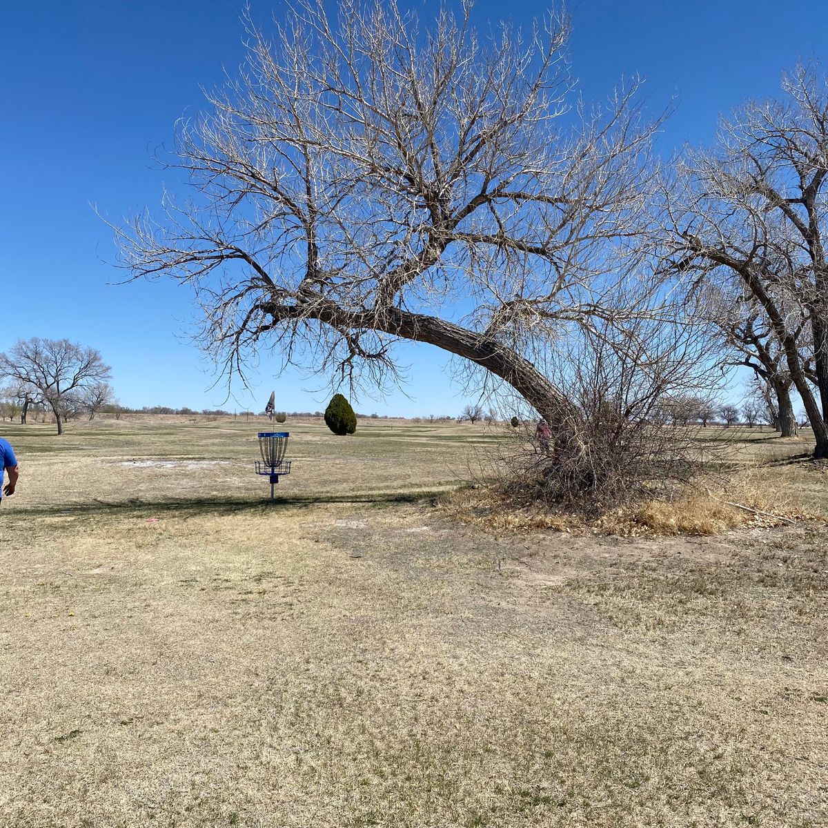 Las Animas Bent County Disc Golf Course Las Animas, CO UDisc Disc