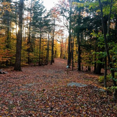 Smugglers’ Notch Disc Golf Center