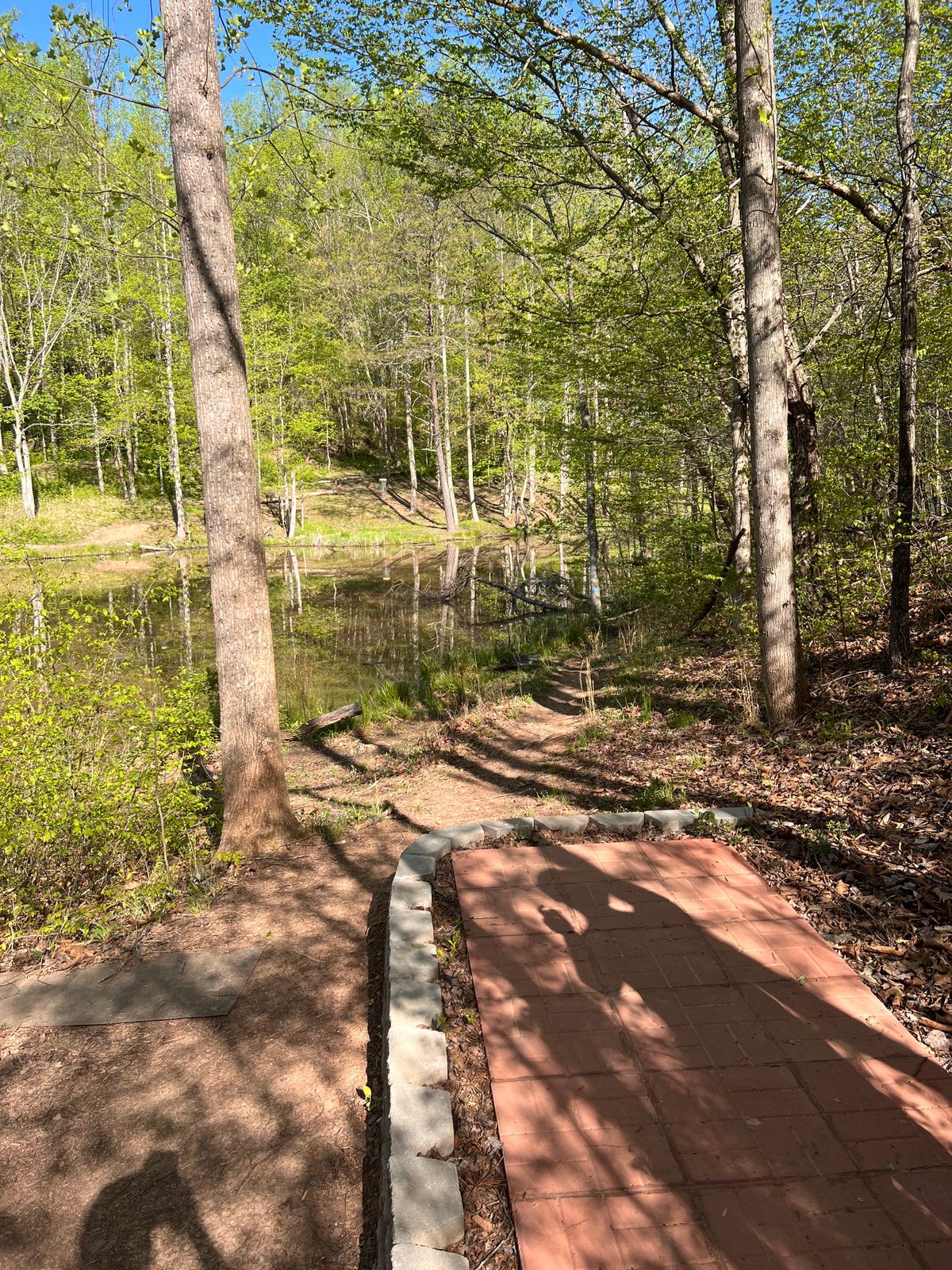 Wine Cellar Dunbar, WV UDisc Disc Golf Course Directory