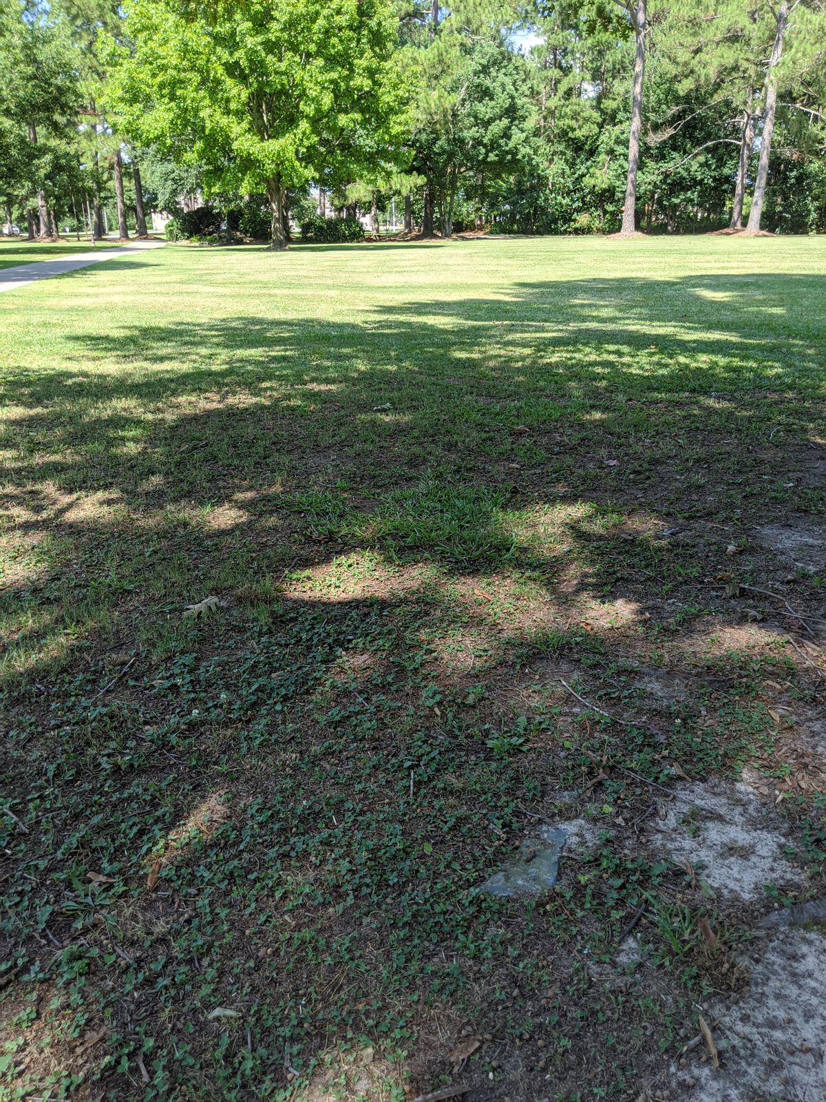 Mount Olive College Mount Olive, NC UDisc Disc Golf Course Directory