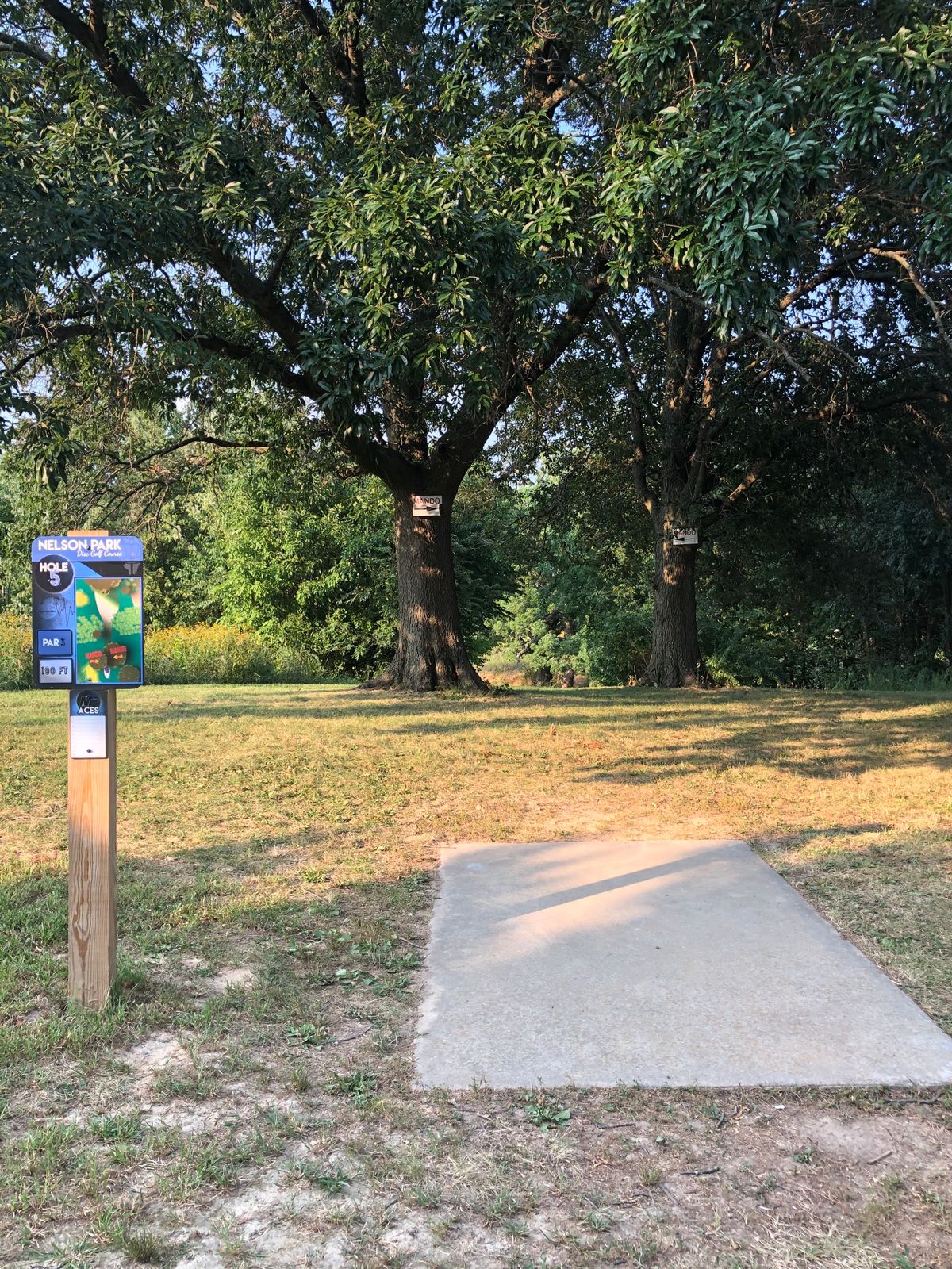 Nelson Park - Decatur, Illinois | UDisc Disc Golf Course Directory