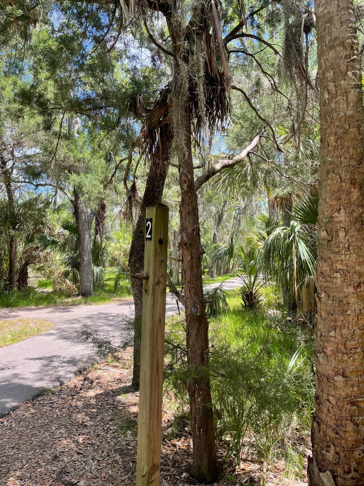 Hammock Park Dunedin, FL UDisc Disc Golf Course Directory