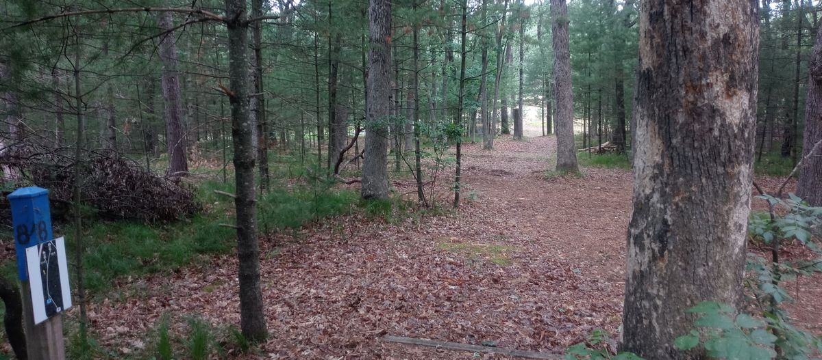 Juneau County Castle Rock DGC Course Photos