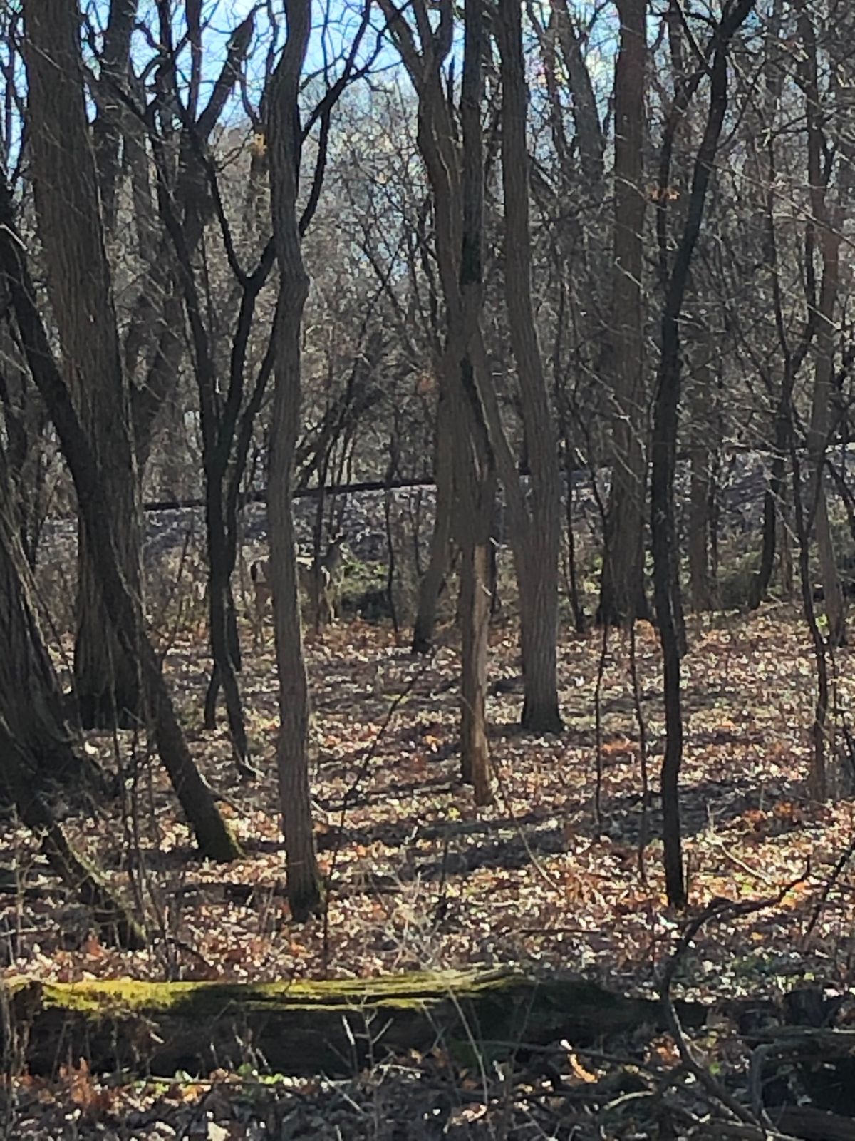 Riverside Park Janesville, WI UDisc Disc Golf Course Directory