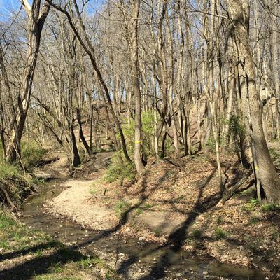 Megiddo - Morton, IL | UDisc Disc Golf Course Directory | UDisc