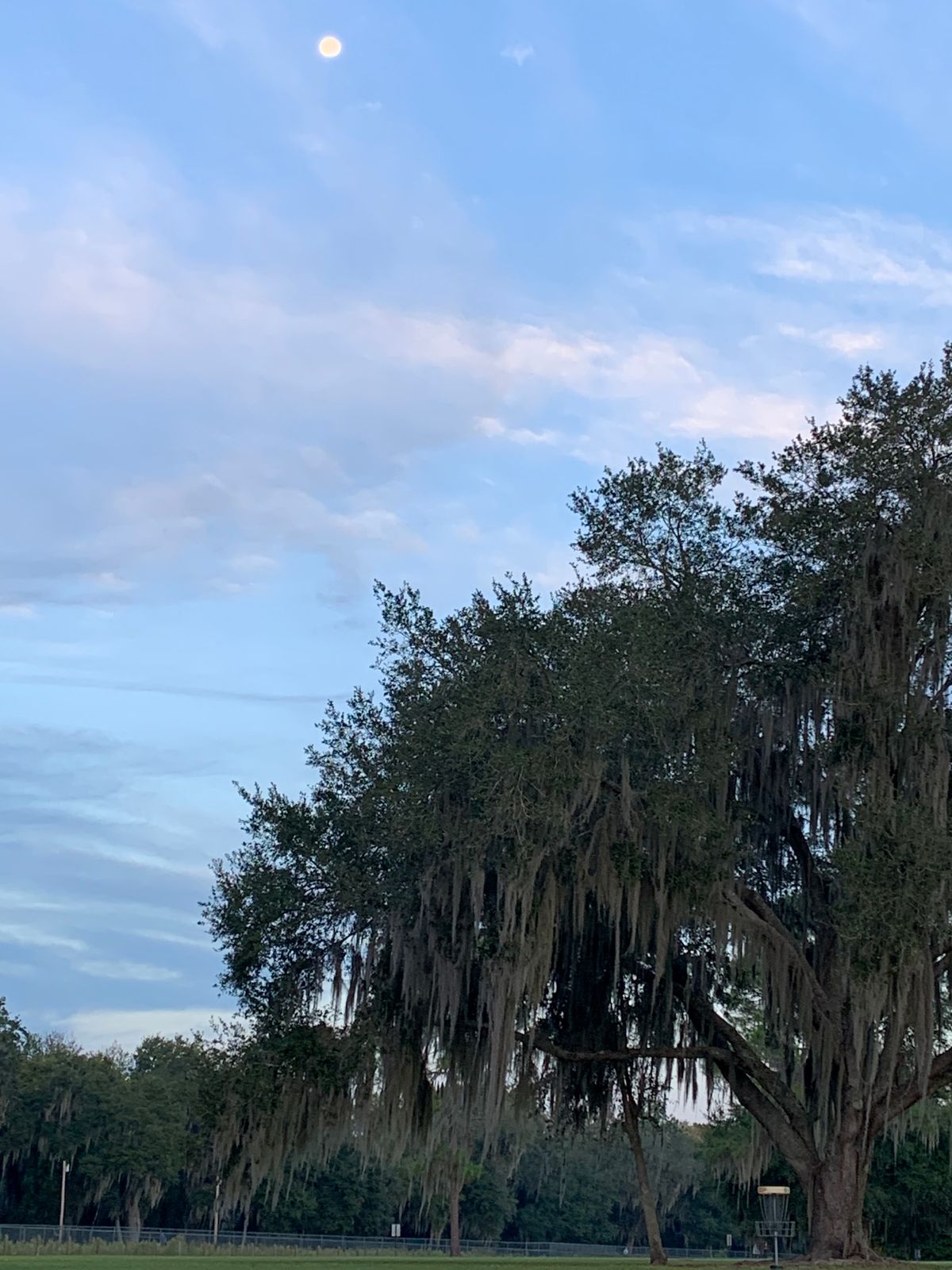 Lake Okahumpka Wildwood, FL UDisc Disc Golf Course Directory