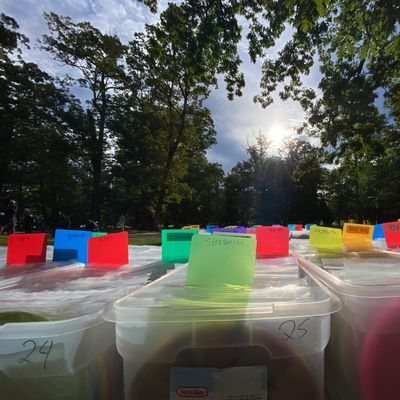 Ran Disc Golf LLC (Randisc.com)
