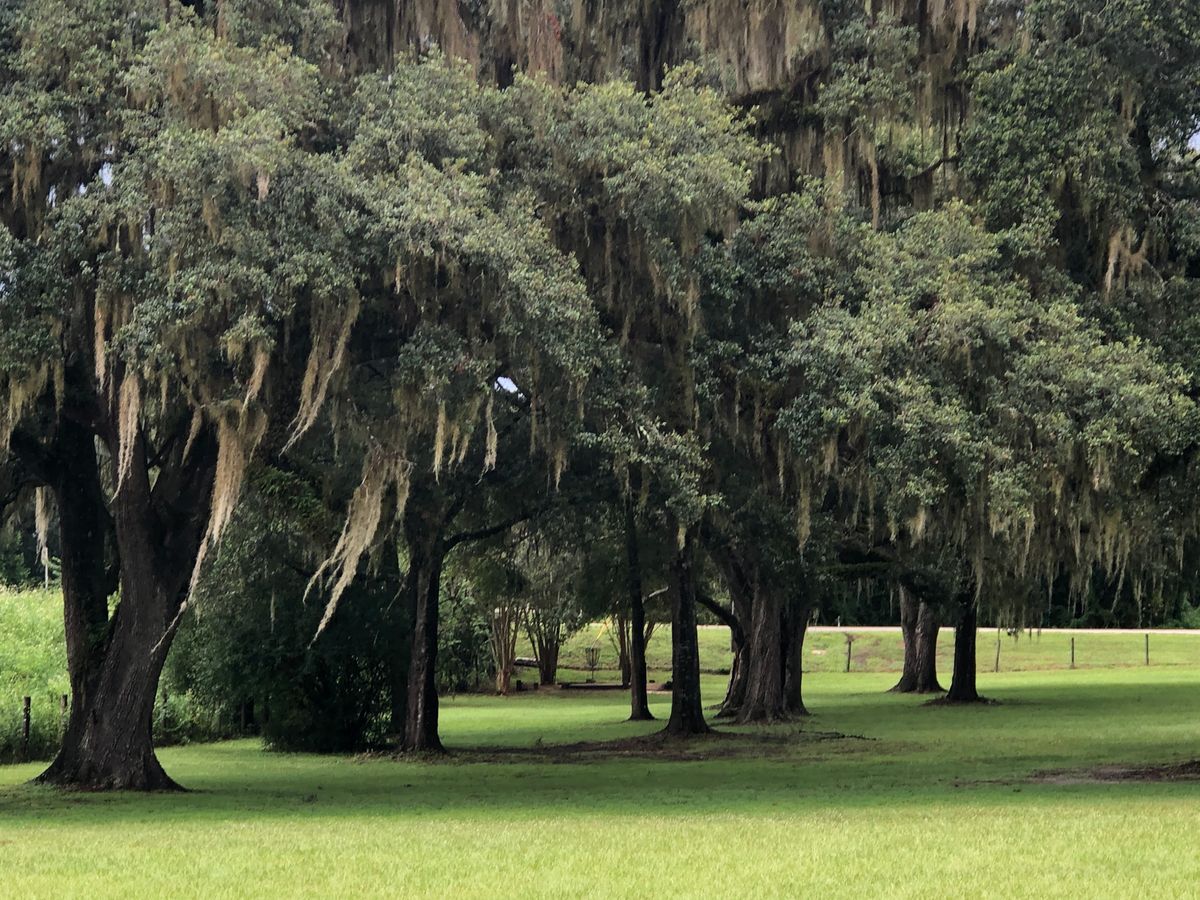 Floral Park Floral City, FL UDisc Disc Golf Course Directory UDisc