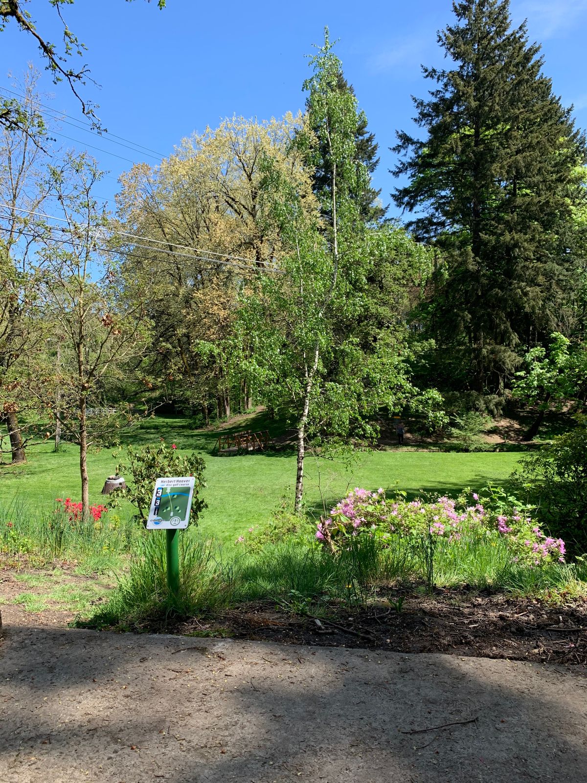 Herbert Hoover Park Newberg, OR UDisc Disc Golf Course Directory
