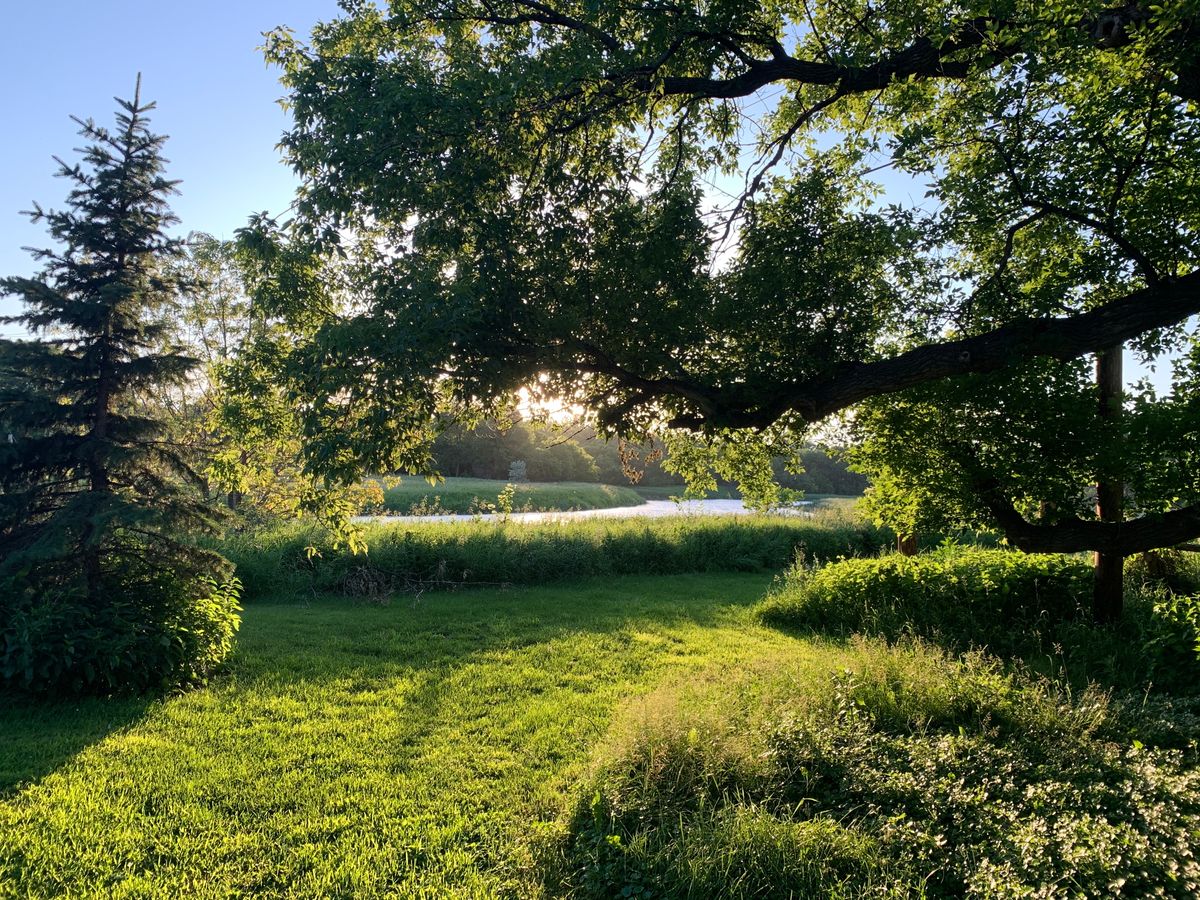 Mayville Frisbee Golf Park Mayville, ND UDisc Disc Golf Course