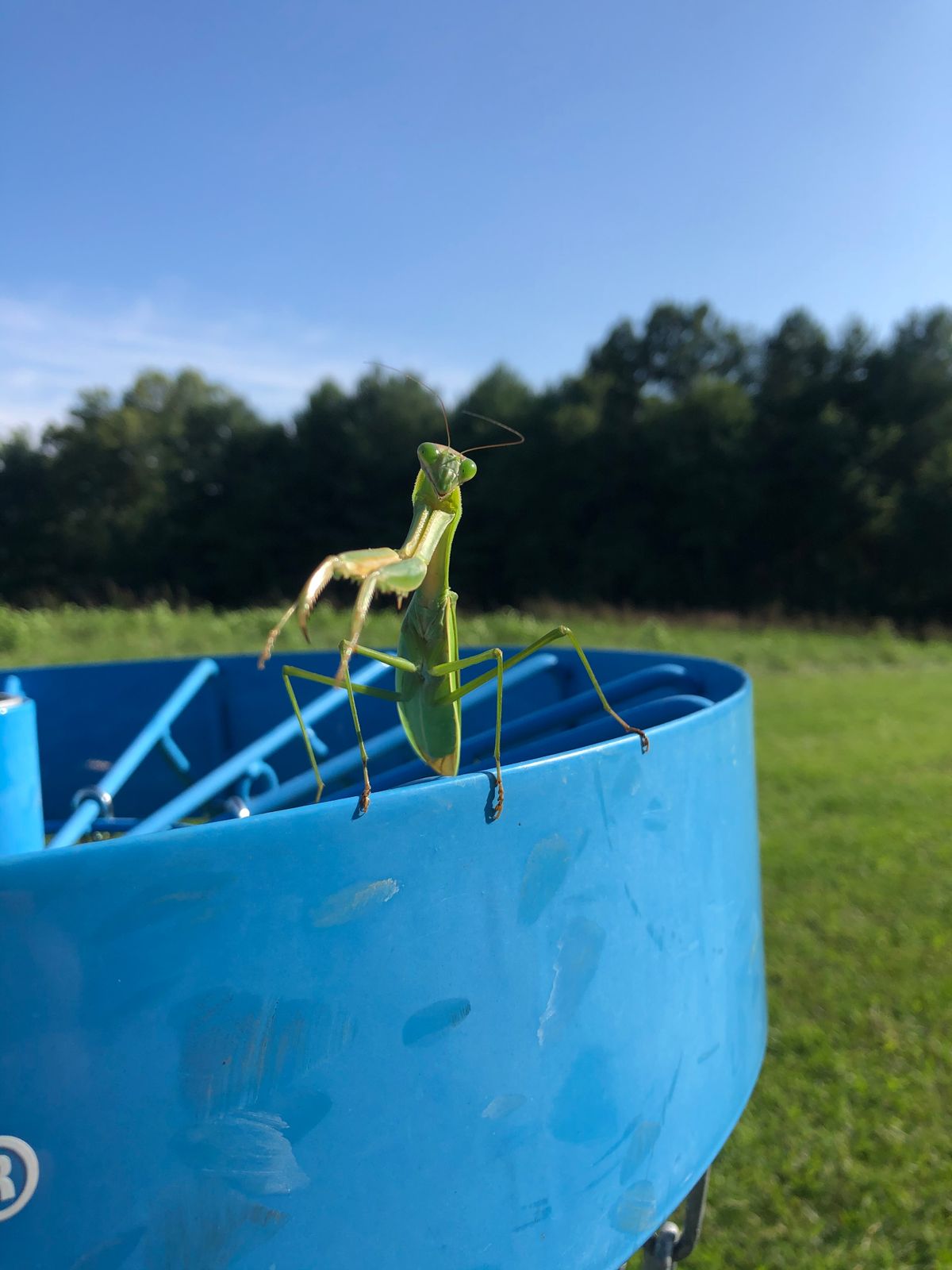 Mayflower Hills Roanoke, VA UDisc Disc Golf Course Directory