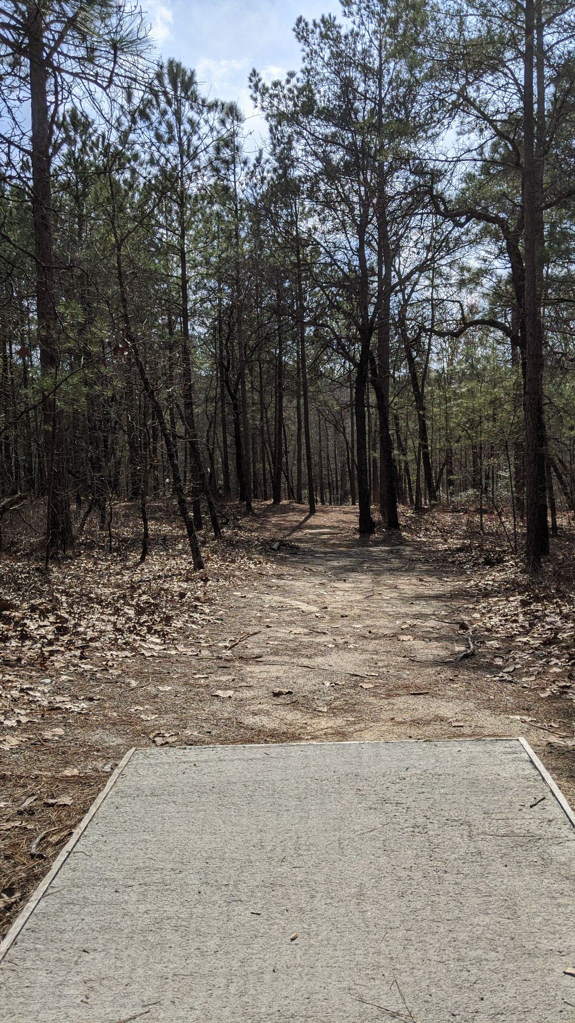 Anderson Creek Lillington, NC UDisc Disc Golf Course Directory