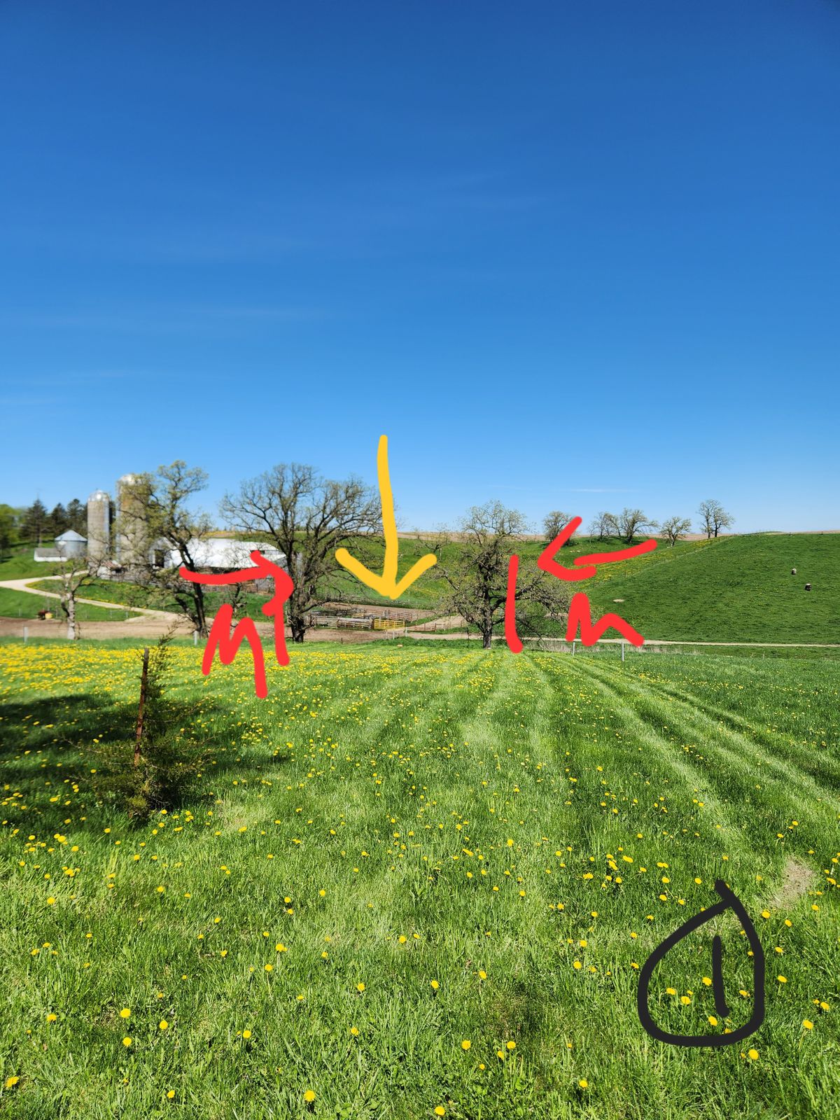 Eagle Valley DGC Plainview, MN UDisc Disc Golf Course Directory