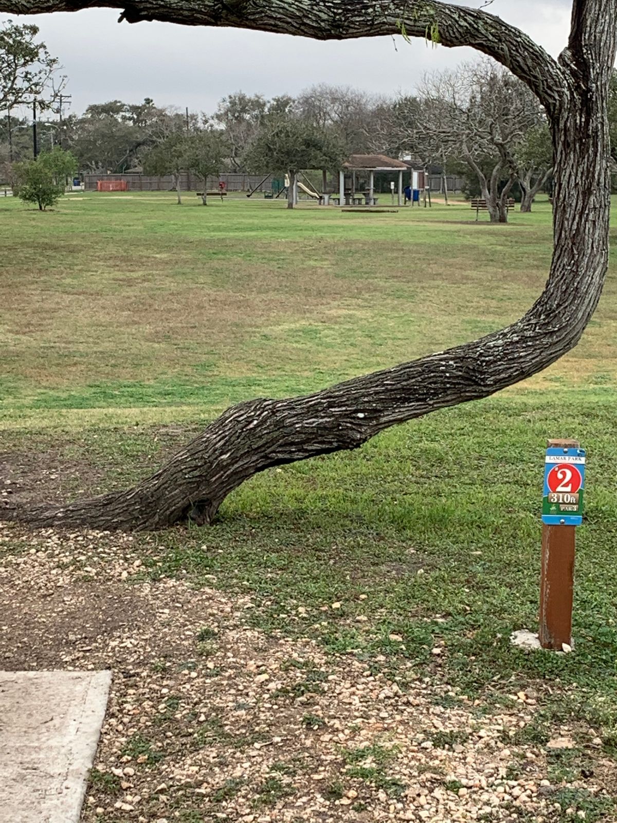 Lamar Park Corpus Christi, TX UDisc Disc Golf Course Directory