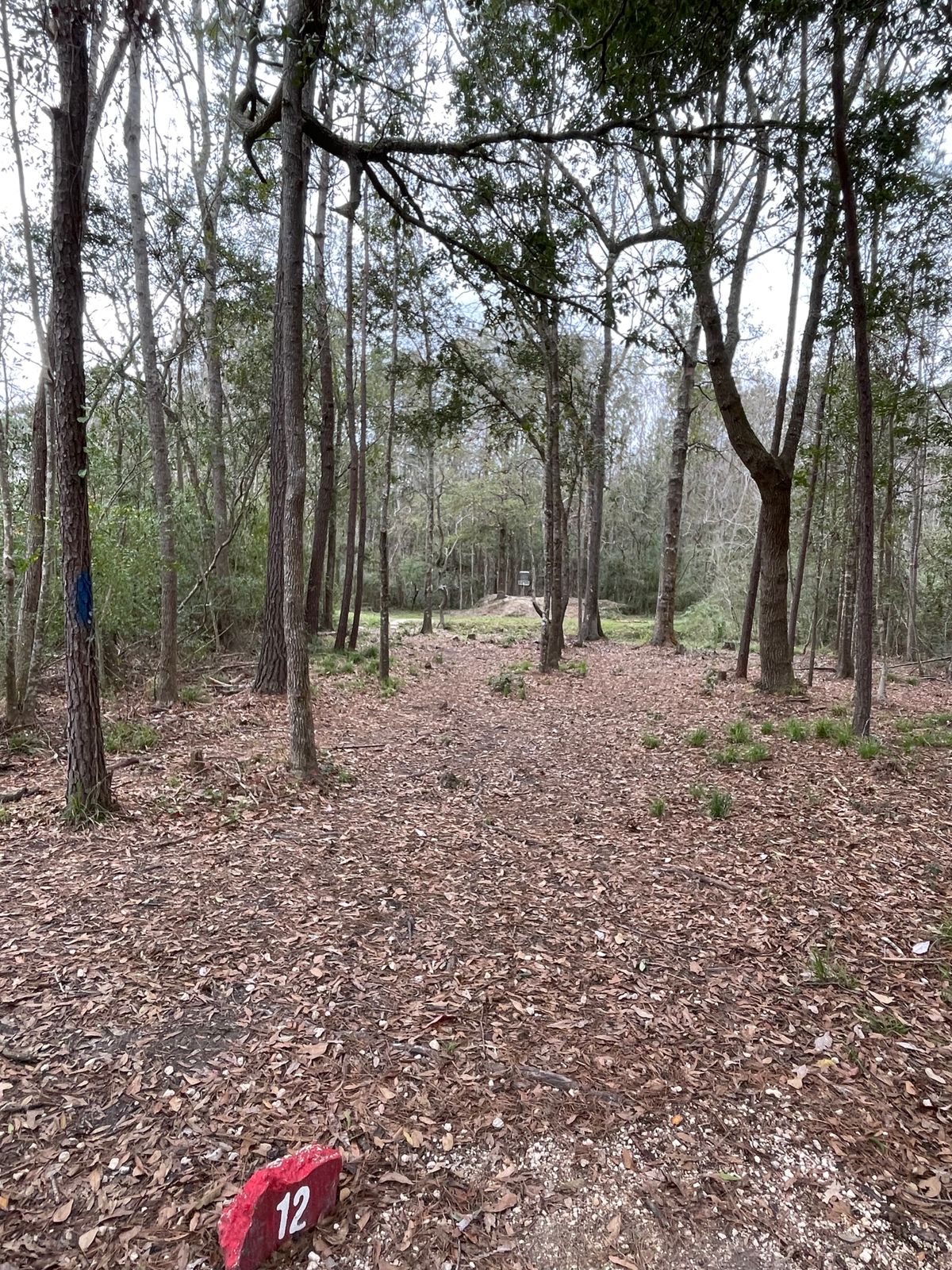 Fritchie Park Slidell LA UDisc Disc Golf Course Directory UDisc