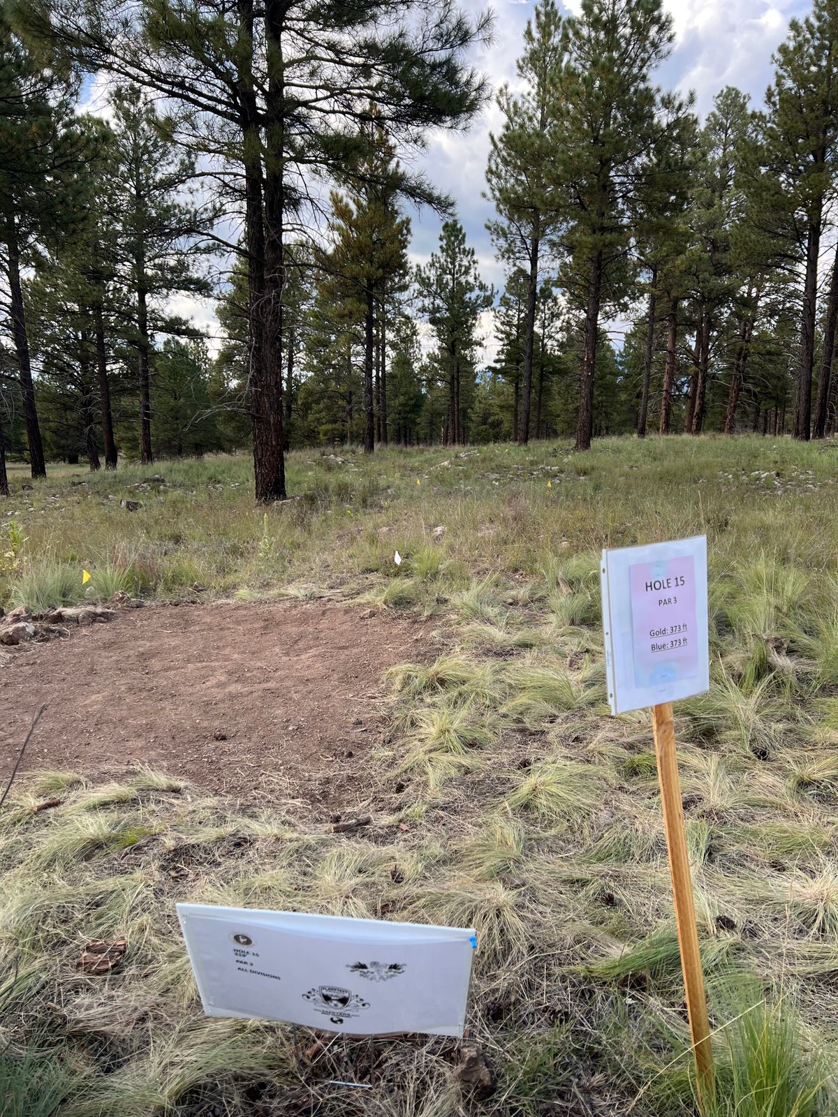 Little America Flagstaff, AZ UDisc Disc Golf Course Directory