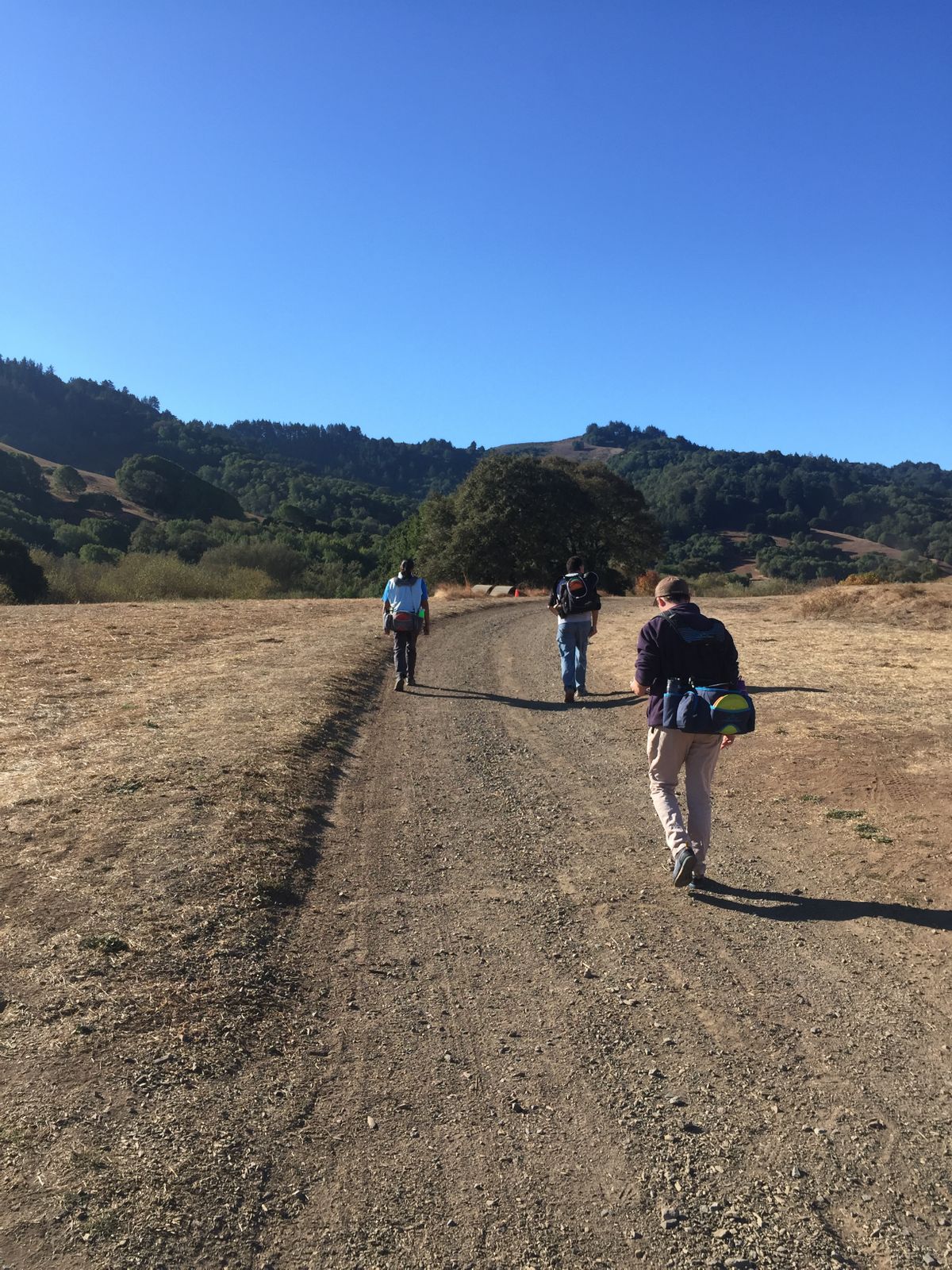 Stafford Lake County Park Novato CA UDisc Disc Golf Course Directory