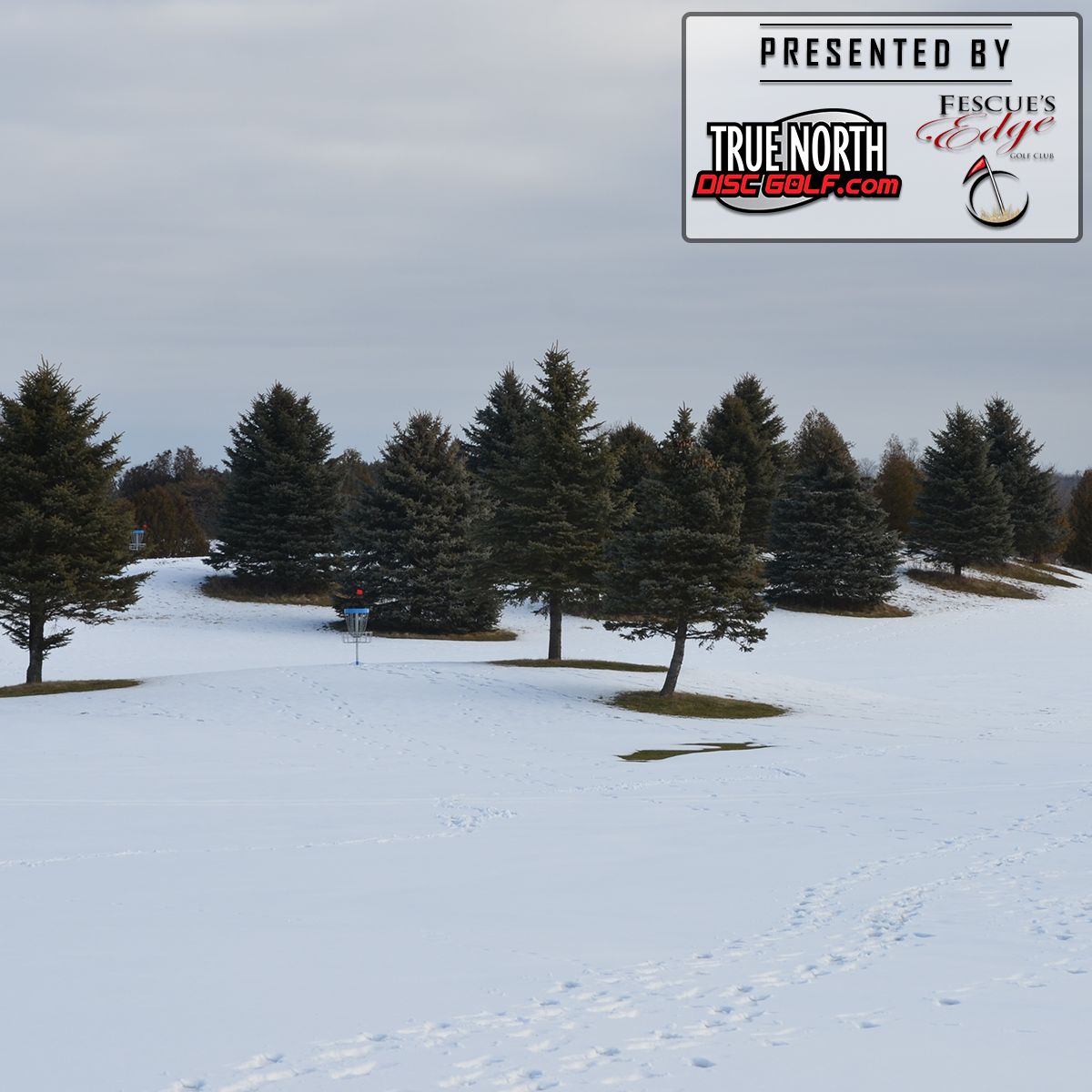 Fescue's Edge Golf Club Brant, ON, Canada UDisc Disc Golf Course