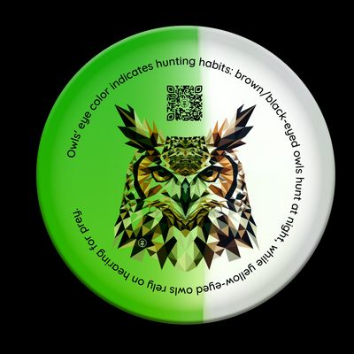 ChainLink Disc Golf