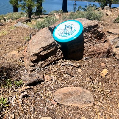 Wild About Discs LLC