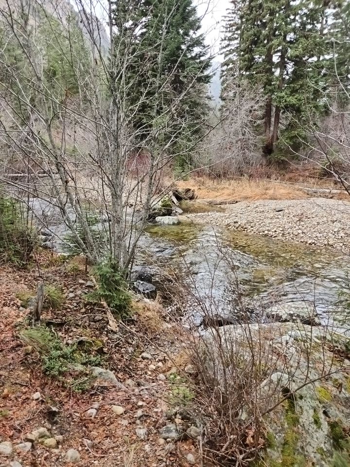 Blodgett DGC Hamilton, MT UDisc Disc Golf Course Directory