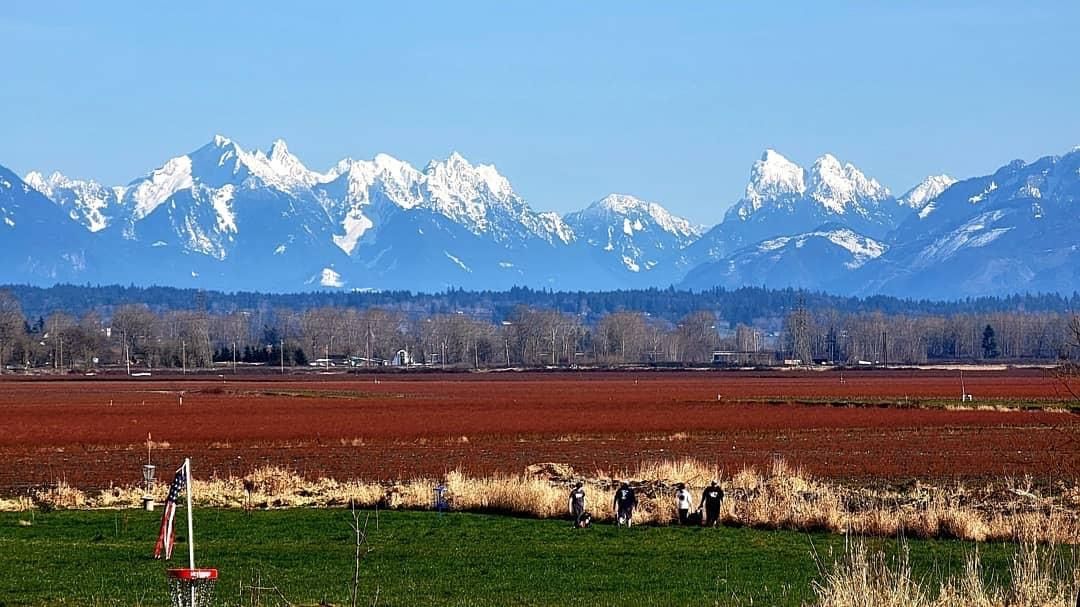 Dairy Air DGC Everett, WA UDisc Disc Golf Course Directory