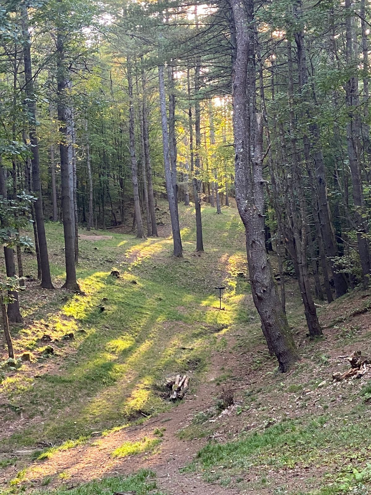 Bittersweet Ridge North Course North Yarmouth, ME UDisc Disc Golf
