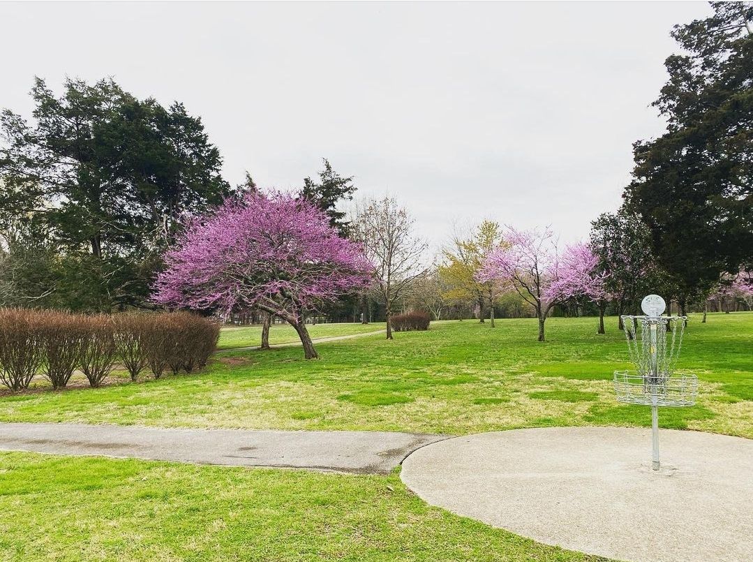 Barfield Crescent DGC Course Events