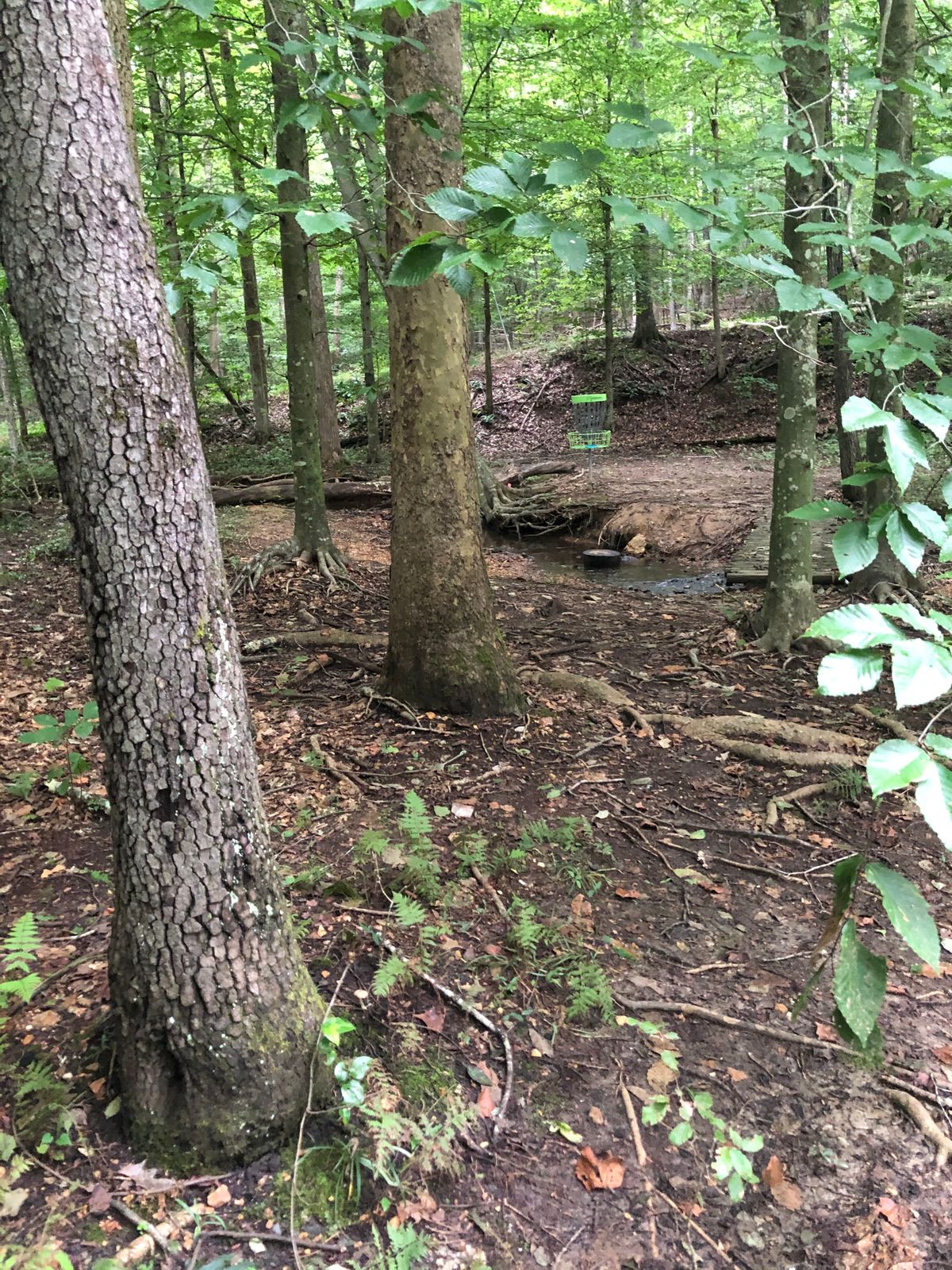 Hydaway Outdoor Center Lynchburg, VA UDisc Disc Golf Course Directory