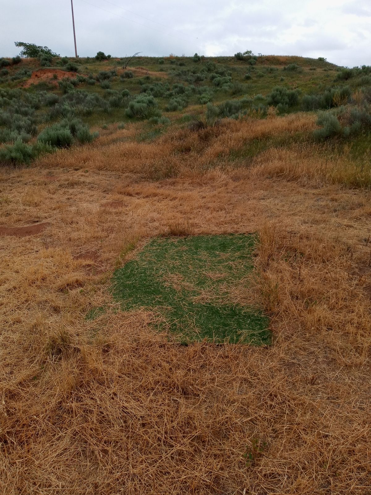 Westview Sports Park Hollis, OK UDisc Disc Golf Course Directory