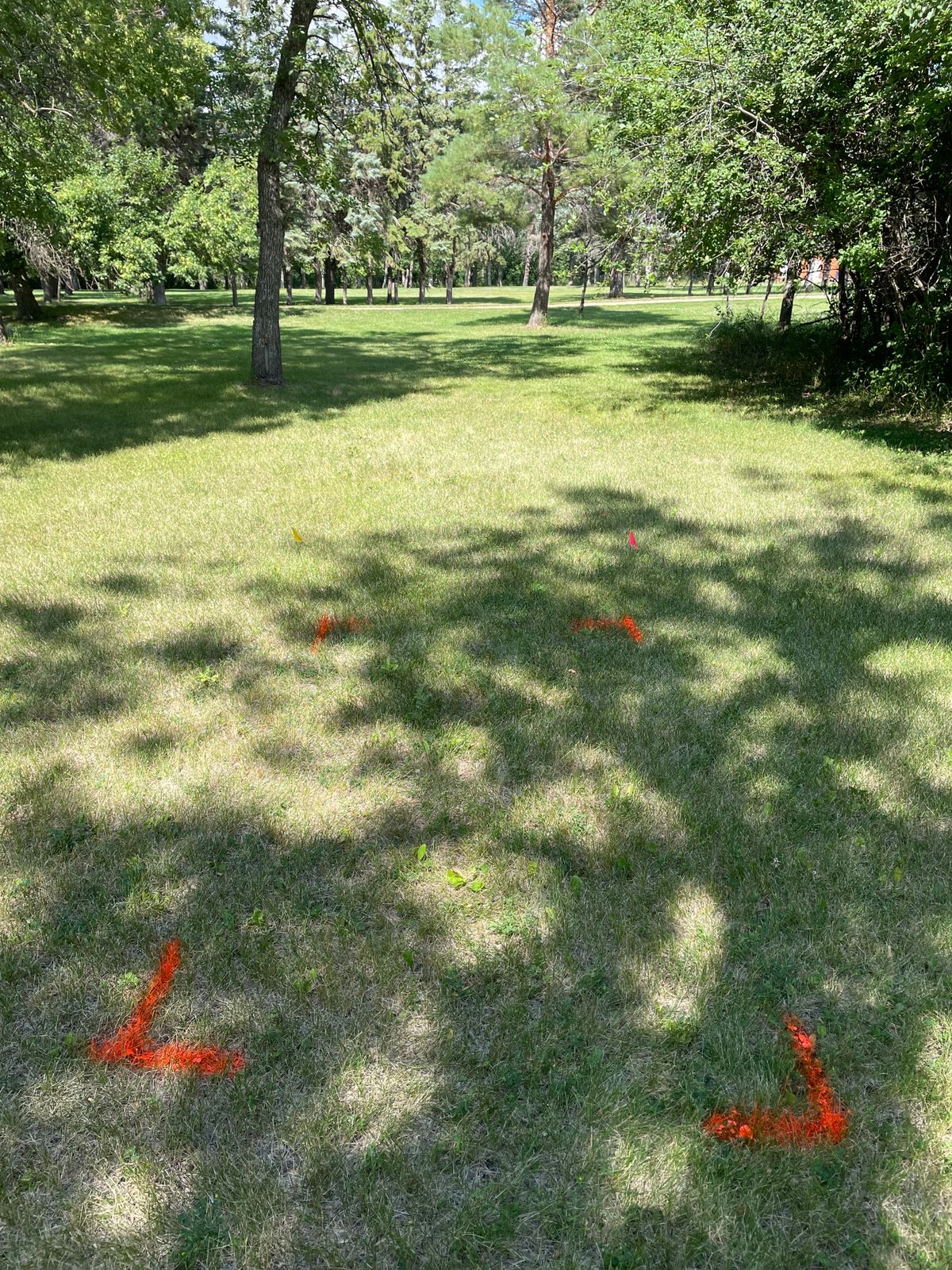Maddock Disc Golf Your Guide to Disc Golf in Maddock, North Dakota
