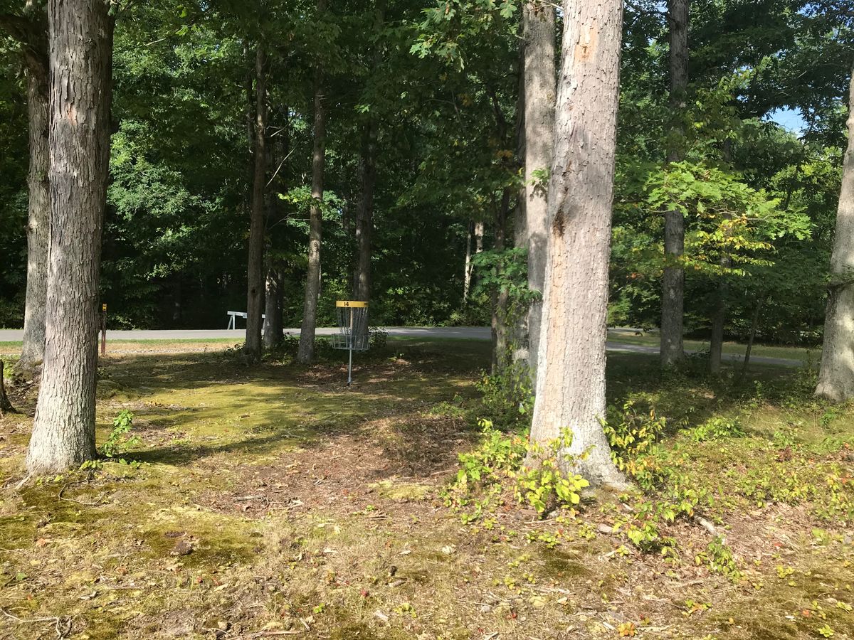 Prince Gallitzin DGC Patton, PA UDisc Disc Golf Course Directory