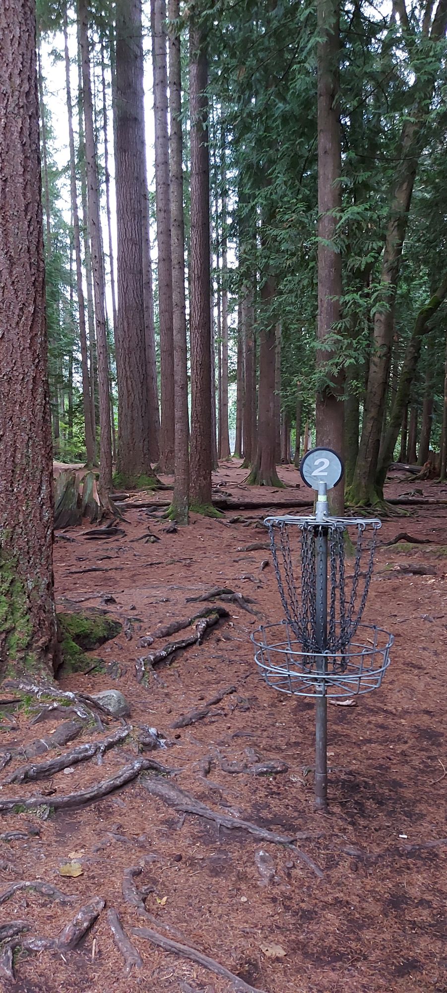 Mundy Park Coquitlam, BC, Canada UDisc Disc Golf Course Directory Mundy Park Coquitlam, BC, Canada UDisc Disc Golf Course Directory