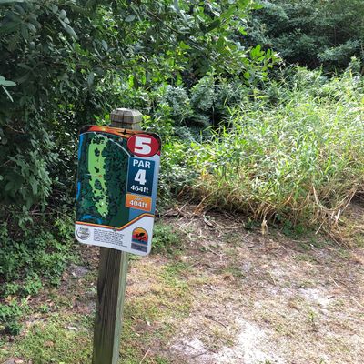 Cypress Point Park - Tampa, FL | UDisc Disc Golf Course Directory