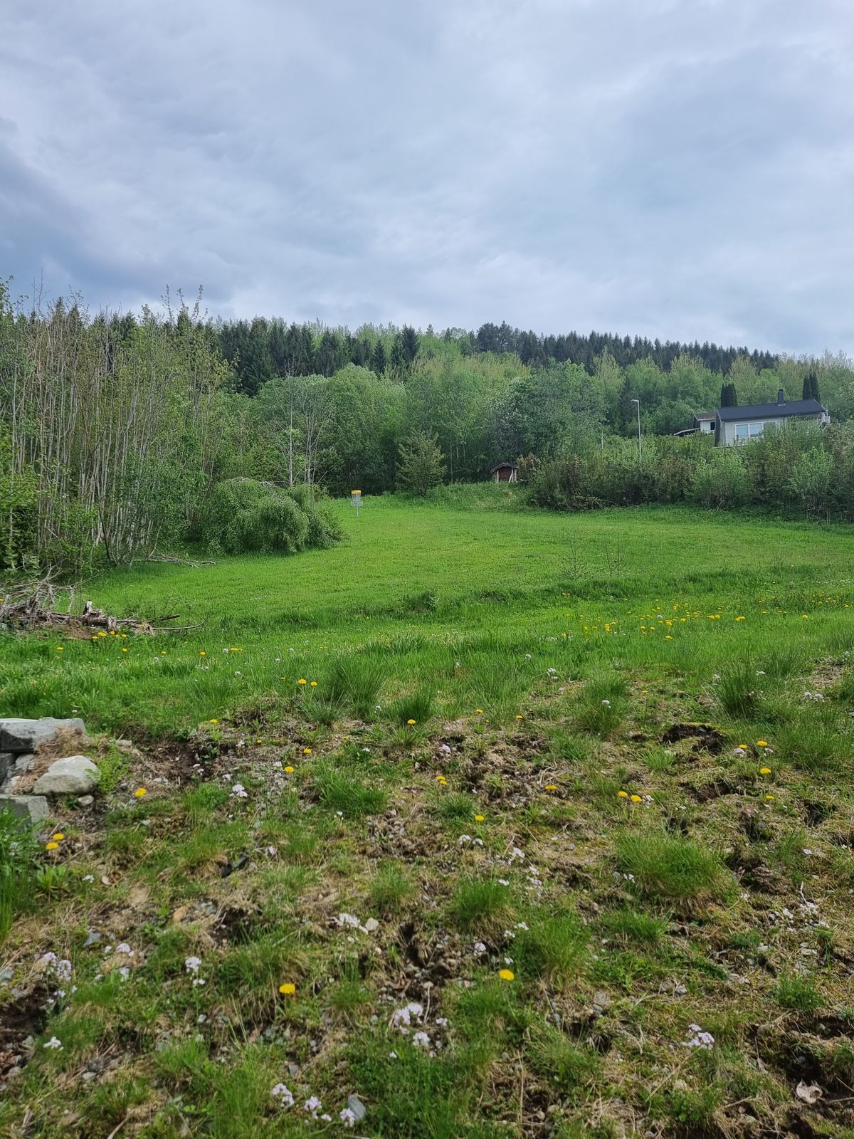 Sjøholt FHS - Ørskog, Norway | UDisc Disc Golf Course Directory