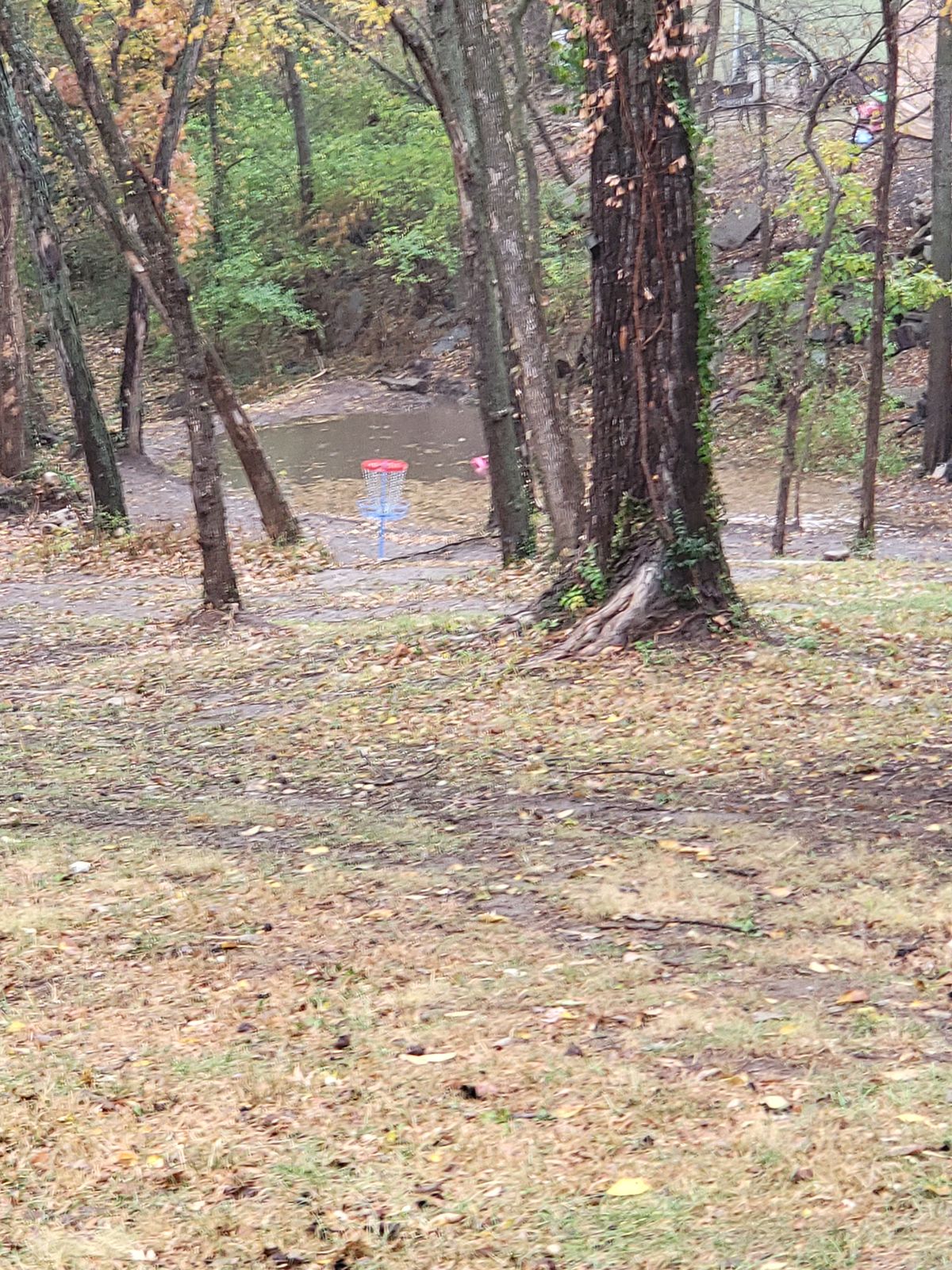 BA GARAGE Private Course De Soto, KS UDisc Disc Golf Course Directory