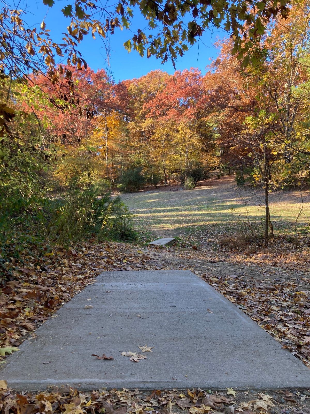 UNC Chapel Hill, NC UDisc Disc Golf Course Directory UDisc