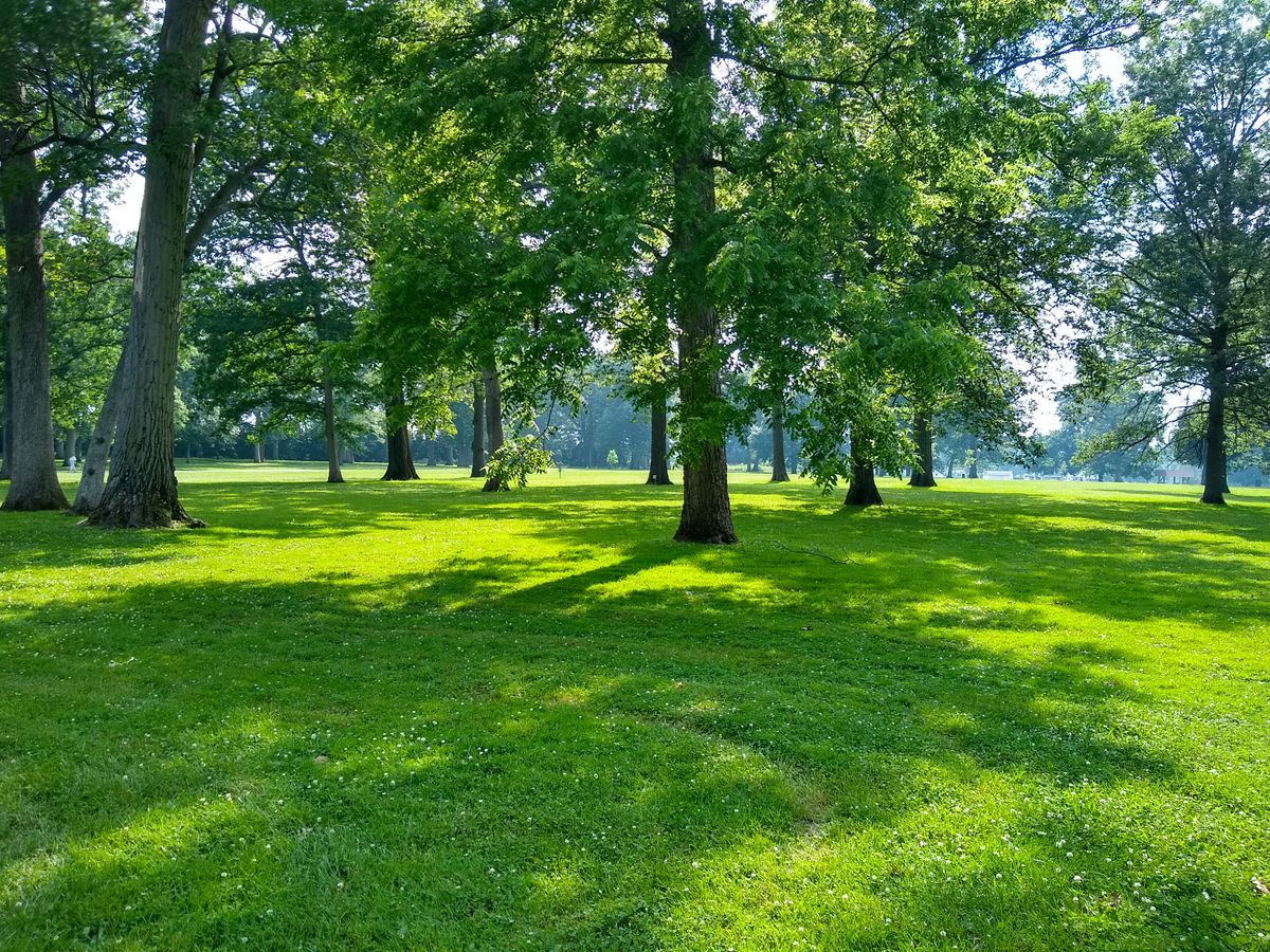 Image showcasing Ingersoll Memorial Park - Rockford, Illinois | UDisc Disc Golf Course ...