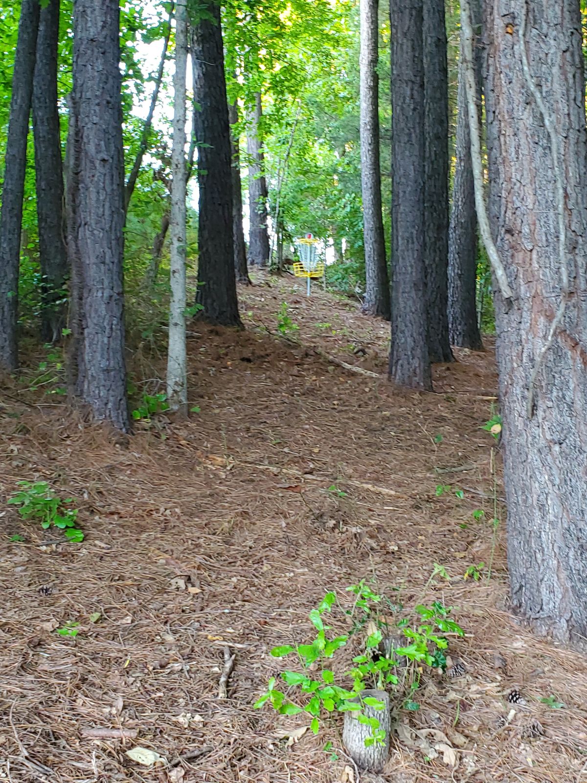 Timbrook Park Lynchburg, VA UDisc Disc Golf Course Directory