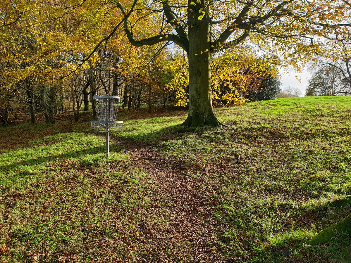st-columbs-park-disc-golf-course-reviews