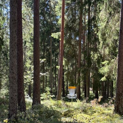 Ingestrands Discgolfbana - Arvika, Sweden | UDisc Disc Golf Course Directory