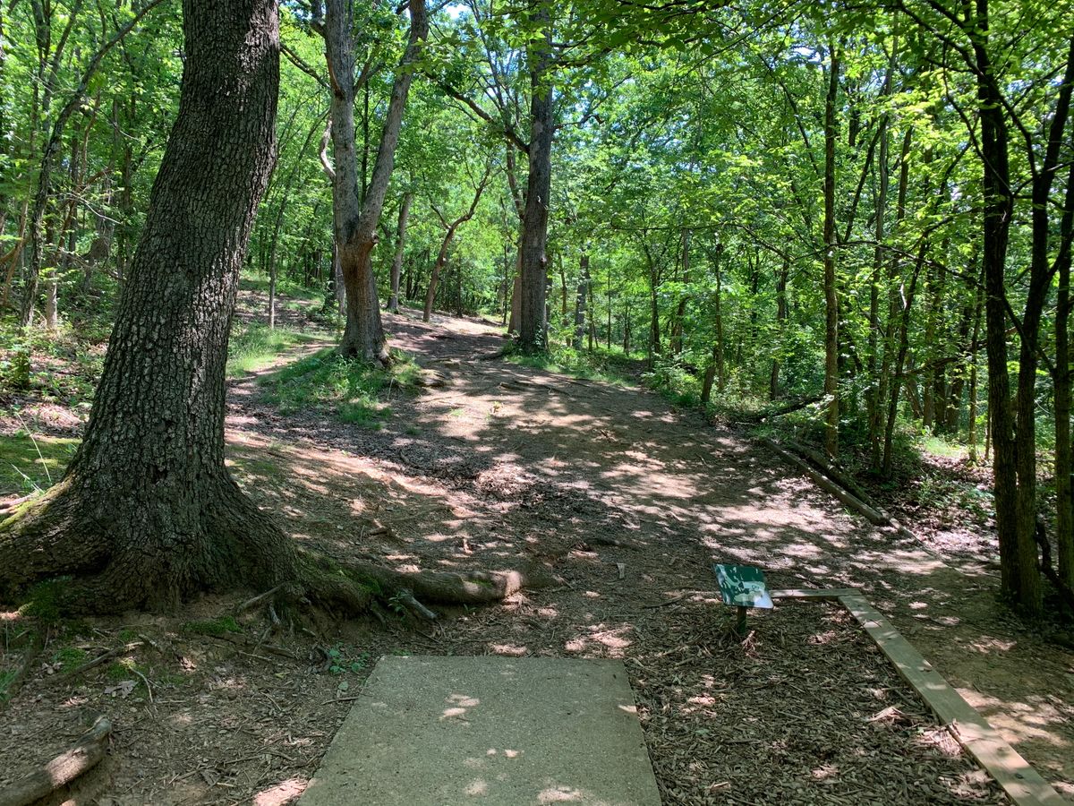 Pea Ridge Disc Golf Your Guide to Disc Golf in Pea Ridge, West