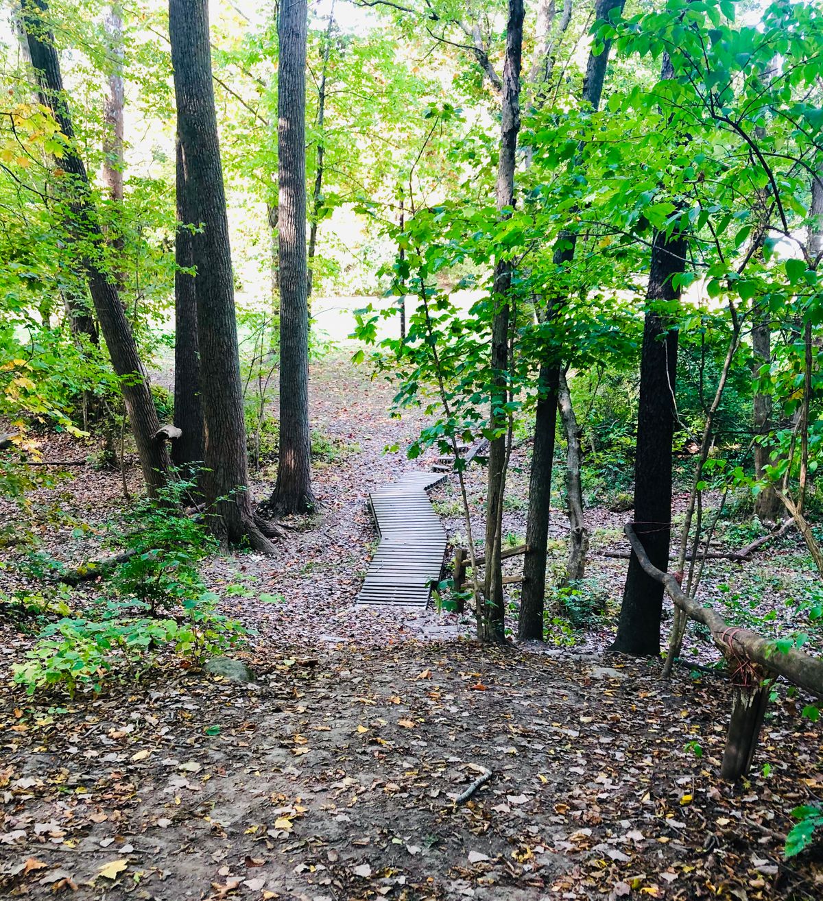 Selma Disc Golf Your Guide to Disc Golf in Selma, Indiana UDisc